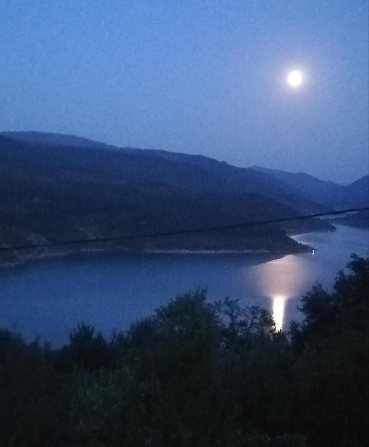 Vila Zapis - Zavojsko Jezero Pirot Extérieur photo