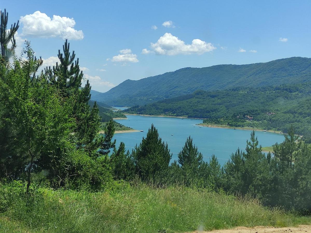 Vila Zapis - Zavojsko Jezero Pirot Extérieur photo