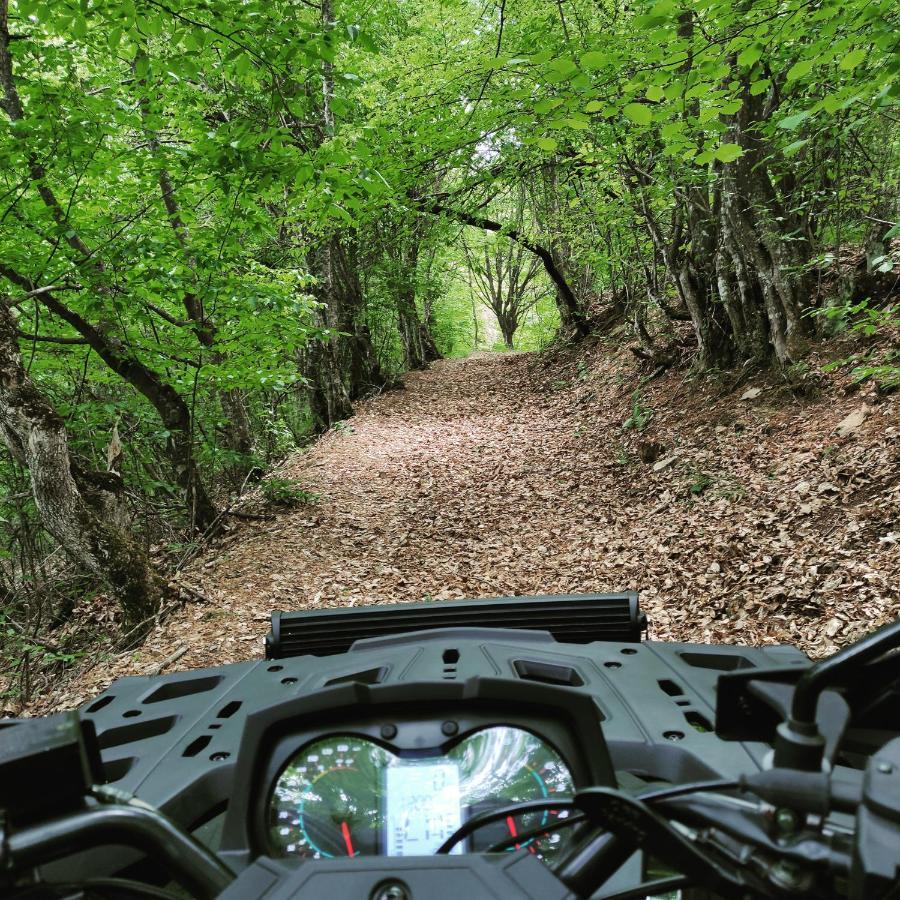 Vila Zapis - Zavojsko Jezero Pirot Extérieur photo