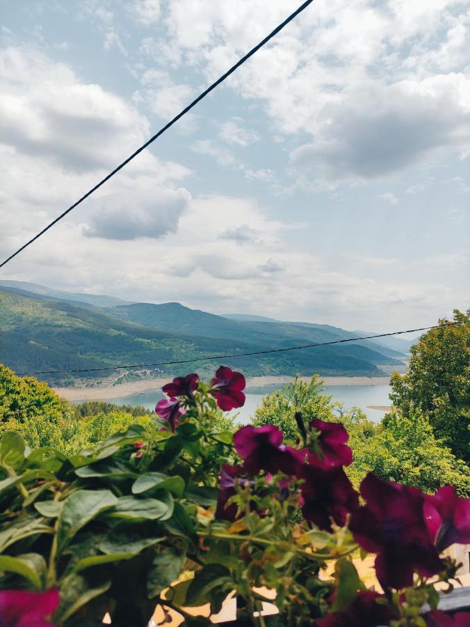 Vila Zapis - Zavojsko Jezero Pirot Extérieur photo